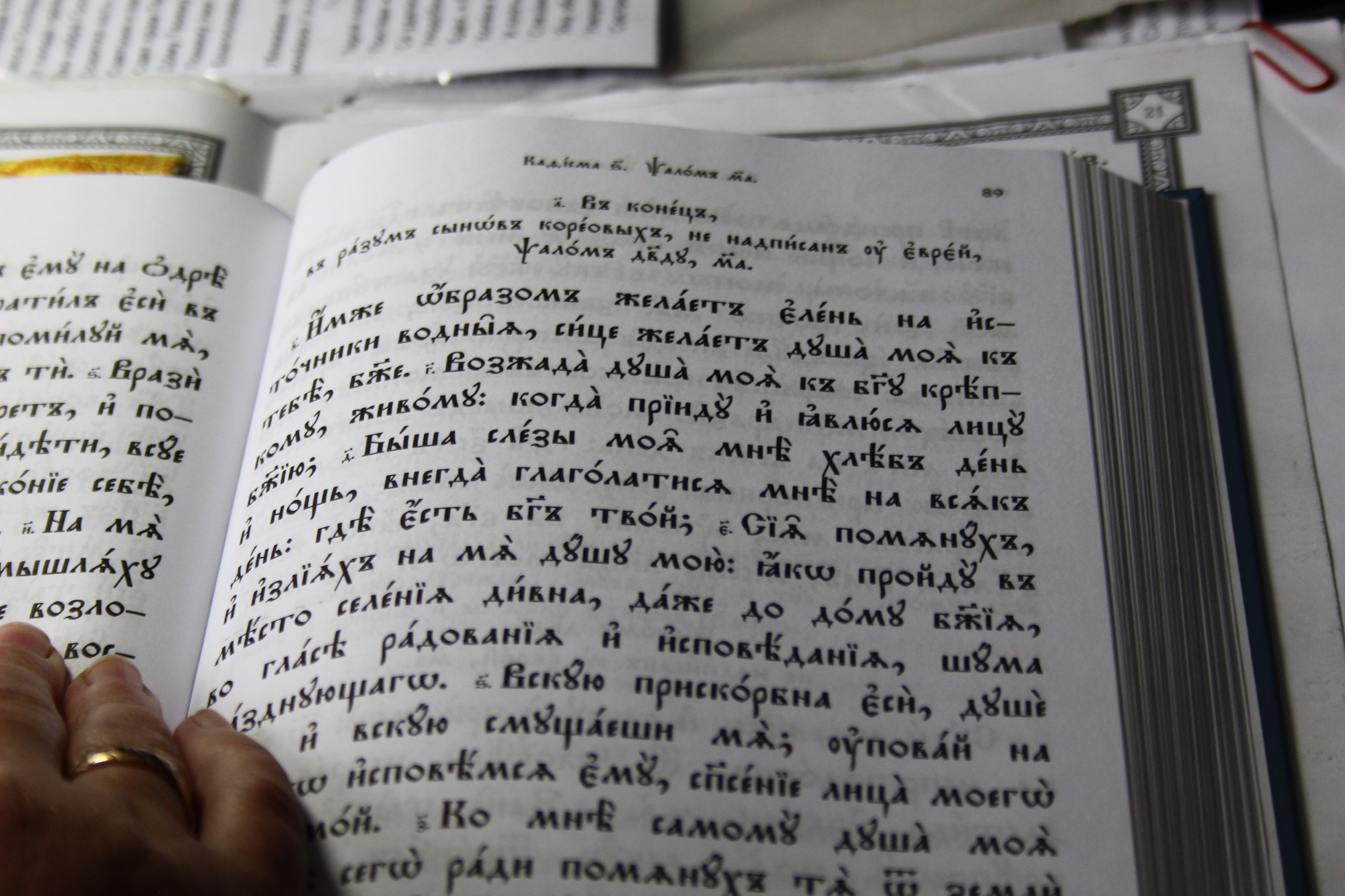Полиелейное богослужение в день иконы Божией Матери «Экономисса»
